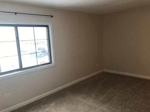 500 Manda Ln #319, Wheeling, IL 60090 photo 8
