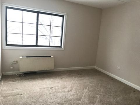 500 Manda Ln #319, Wheeling, IL 60090 photo 7