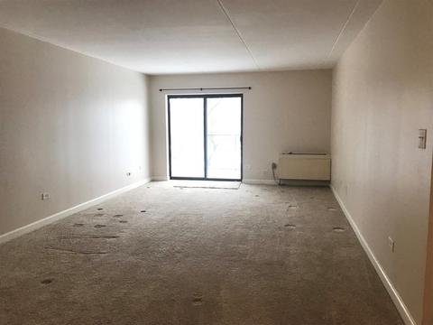 500 Manda Ln #319, Wheeling, IL 60090 photo 3