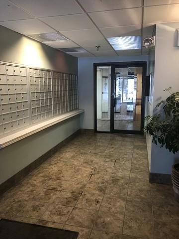 500 Manda Ln #319, Wheeling, IL 60090 photo 9