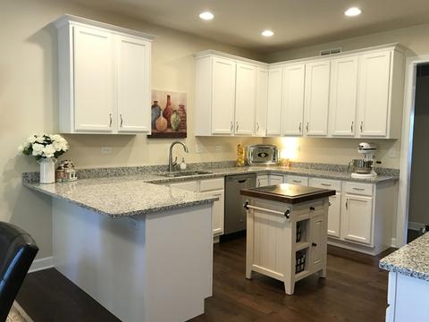 531 Madison Ln, Elgin, IL 60123 photo 12