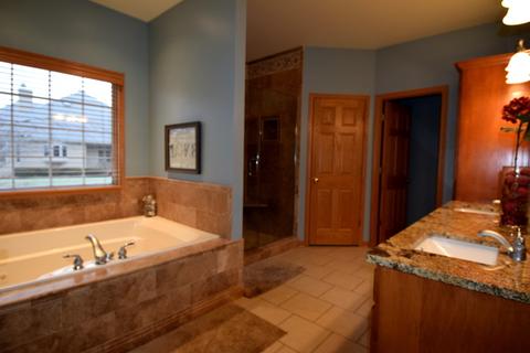 17401 S Honora Dr, Plainfield, IL 60586 photo 21