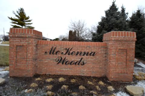 17401 S Honora Dr, Plainfield, IL 60586 photo 8