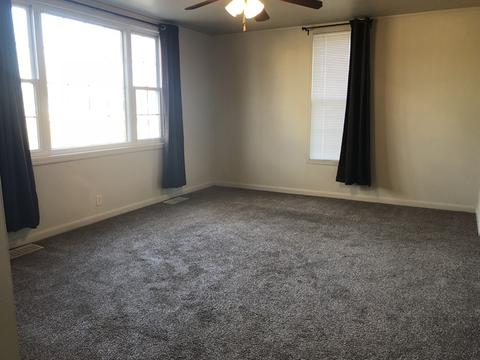 303 S 3rd Ave, Forreston, IL 61030 photo 5