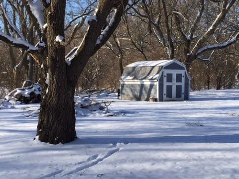 3205 Trebes Dr, Harvard, IL 60033 photo 33
