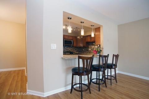 1425 Sandpebble Dr #108, Wheeling, IL 60090 photo 4