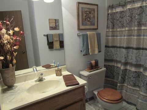 535 Ladysmith Rd, Bartlett, IL 60103 photo 13