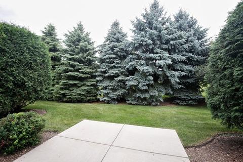 12 Parkside Ct, Algonquin, IL 60102 photo 12