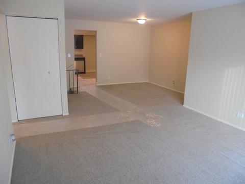 505 Mchenry Rd #1B, Wheeling, IL 60090 photo 11