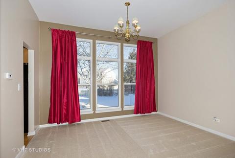 7329 Atkinson Cir, Plainfield, IL 60586 photo 4