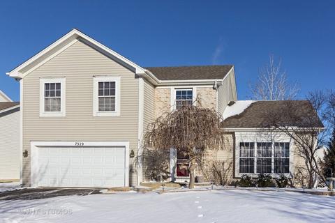 7329 Atkinson Cir, Plainfield, IL 60586 photo 1