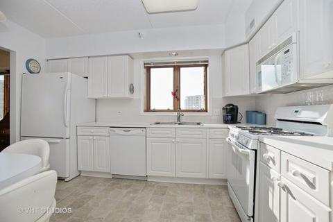 650 S River Rd #511, Des Plaines, IL 60016 photo 5
