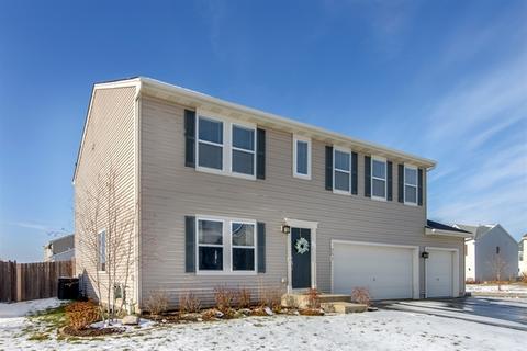 986 Brahms Rd, Volo, IL 60073 photo 1