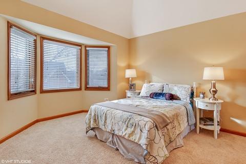 13221 Lakepoint Dr, Plainfield, IL 60585 photo 11