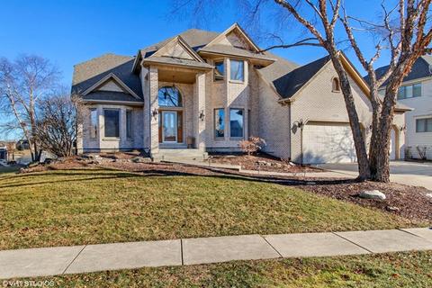 13221 Lakepoint Dr, Plainfield, IL 60585 photo 1
