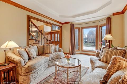 13221 Lakepoint Dr, Plainfield, IL 60585 photo 3