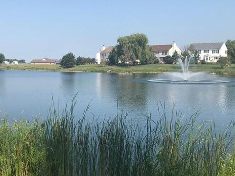 1816 Crestview Dr, Plainfield, IL 60586 photo 25