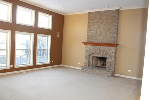 26716 Lindengate Cir, Plainfield, IL 60585 photo 7