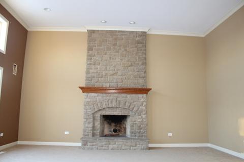 26716 Lindengate Cir, Plainfield, IL 60585 photo 9