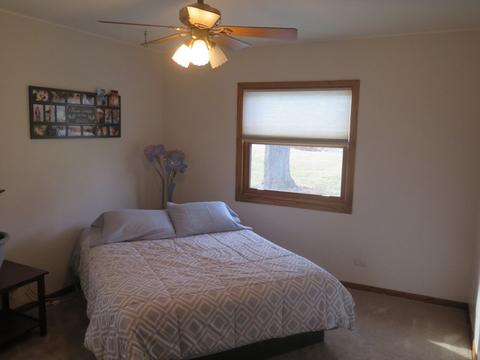 983 Valewood Rd, Bartlett, IL 60103 photo 10