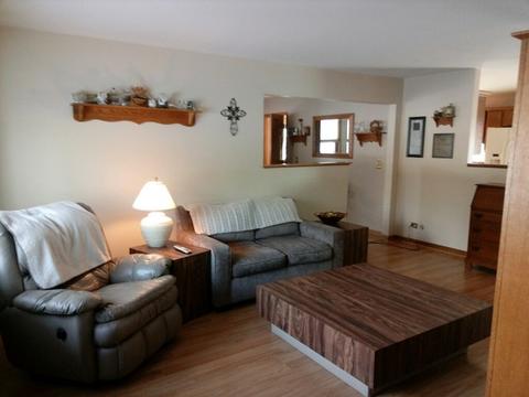 983 Valewood Rd, Bartlett, IL 60103 photo 5