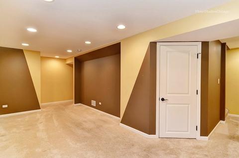 14105 S Mount Pleasant Ct, Plainfield, IL 60544 photo 18