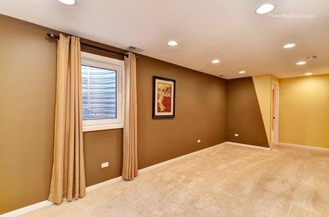 14105 S Mount Pleasant Ct, Plainfield, IL 60544 photo 17