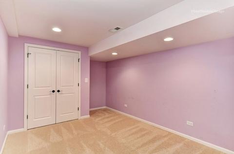 14105 S Mount Pleasant Ct, Plainfield, IL 60544 photo 23