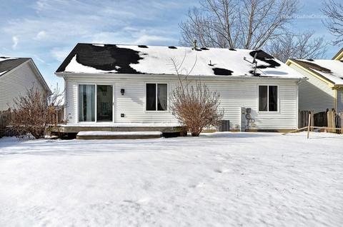 14105 S Mount Pleasant Ct, Plainfield, IL 60544 photo 29
