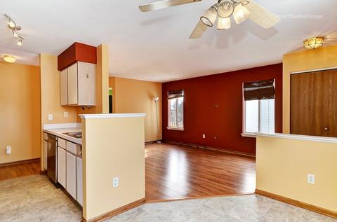 14105 S Mount Pleasant Ct, Plainfield, IL 60544 photo 9