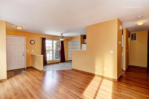 14105 S Mount Pleasant Ct, Plainfield, IL 60544 photo 6