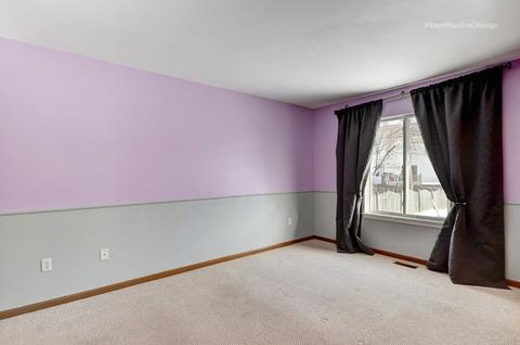 14105 S Mount Pleasant Ct, Plainfield, IL 60544 photo 15