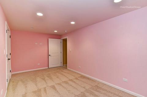 14105 S Mount Pleasant Ct, Plainfield, IL 60544 photo 26