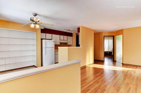 14105 S Mount Pleasant Ct, Plainfield, IL 60544 photo 3