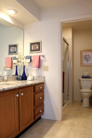 1604 Lakeside Dr #A, Champaign, IL 61821 photo 17