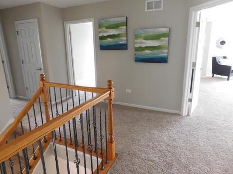 26311 Mapleview Dr, Plainfield, IL 60585 photo 30