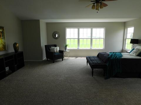 26311 Mapleview Dr, Plainfield, IL 60585 photo 23