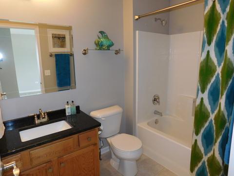 26311 Mapleview Dr, Plainfield, IL 60585 photo 28