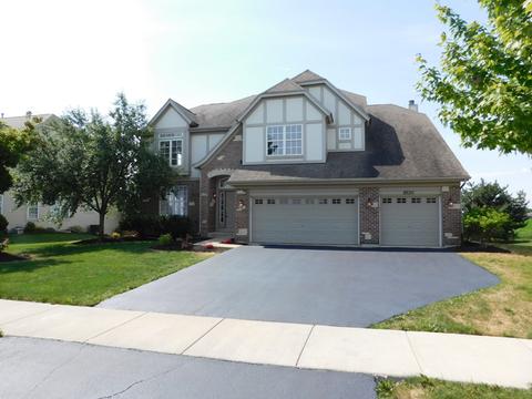 26311 Mapleview Dr, Plainfield, IL 60585 photo 2
