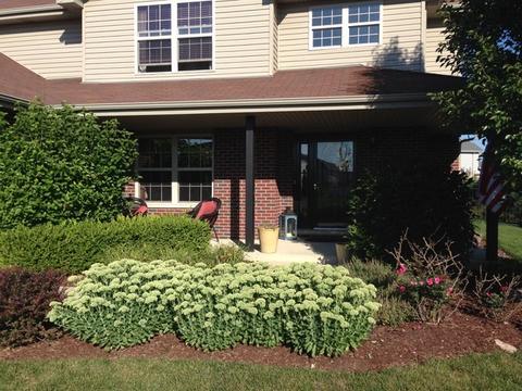 24446 Echo Ln, Manhattan, IL 60442 photo 24