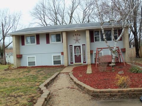 1430 Lantern Ln, Morris, IL 60450 photo 25