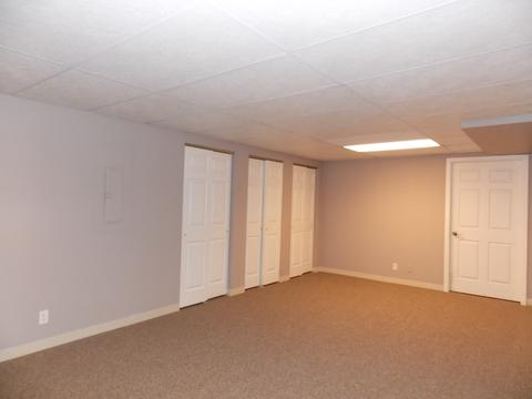 464 Smoketree Ln, Bartlett, IL 60103 photo 16