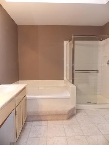 464 Smoketree Ln, Bartlett, IL 60103 photo 13