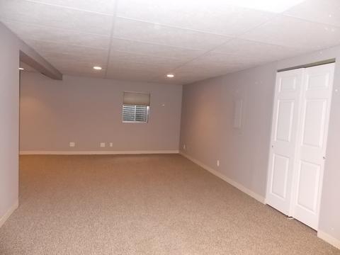 464 Smoketree Ln, Bartlett, IL 60103 photo 15