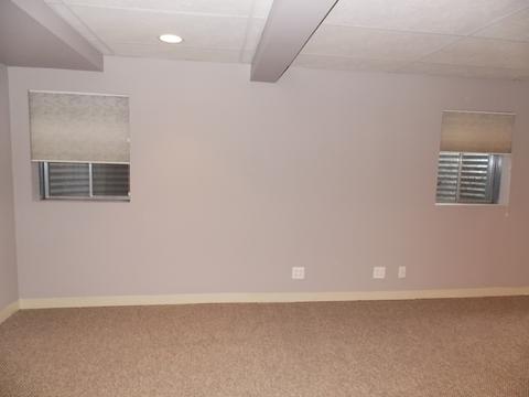 464 Smoketree Ln, Bartlett, IL 60103 photo 17