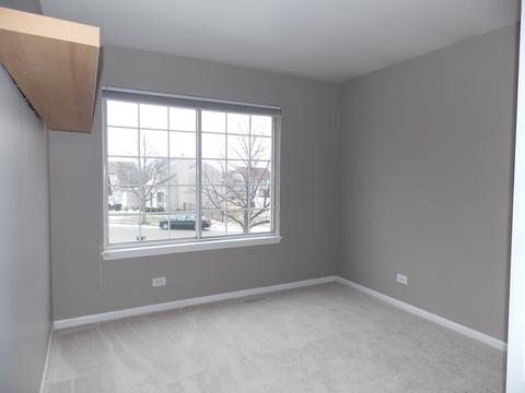 464 Smoketree Ln, Bartlett, IL 60103 photo 14