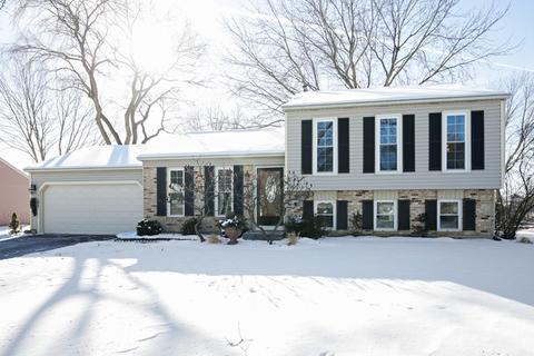 1105 Tanglewood Dr, Algonquin, IL 60102 photo 1