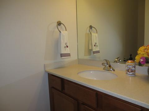 1405 Blume Dr, Elgin, IL 60124 photo 14