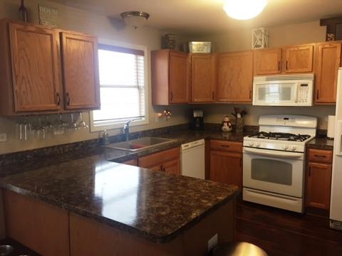 276 Hunters Dr, Beecher, IL 60401 photo 11