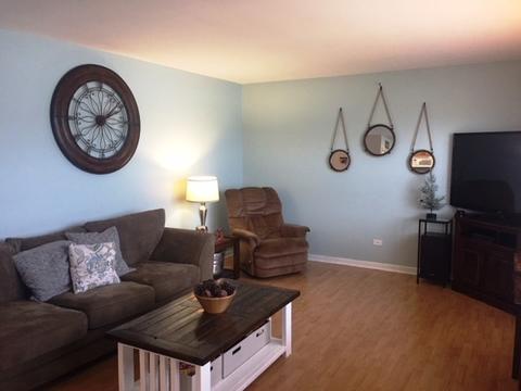 276 Hunters Dr, Beecher, IL 60401 photo 8